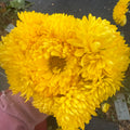 Tamaras Trinket